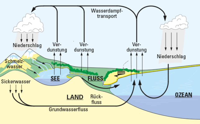 Niederschlag. Wasser род в немецком. Wasser Schlanger Кантина. Wasserdampf Water Vapour.