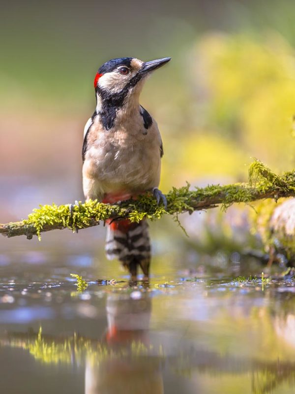 Fakten Und Tipps Zur Wasserqualitat Wasserbeschaffungsverband